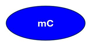 mC_Default